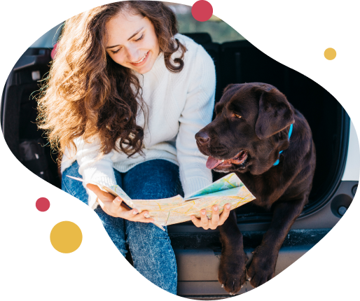 Pas crni labrador gleda u geografsku kartu